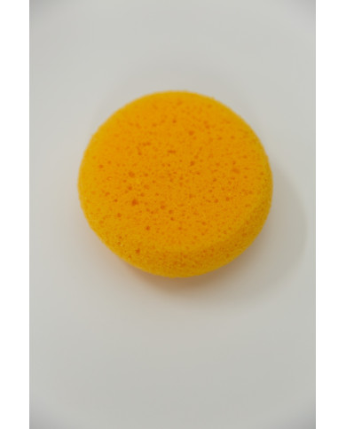 Esponja
