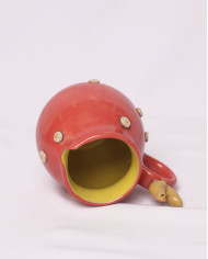 Jarrita lechera Gallito